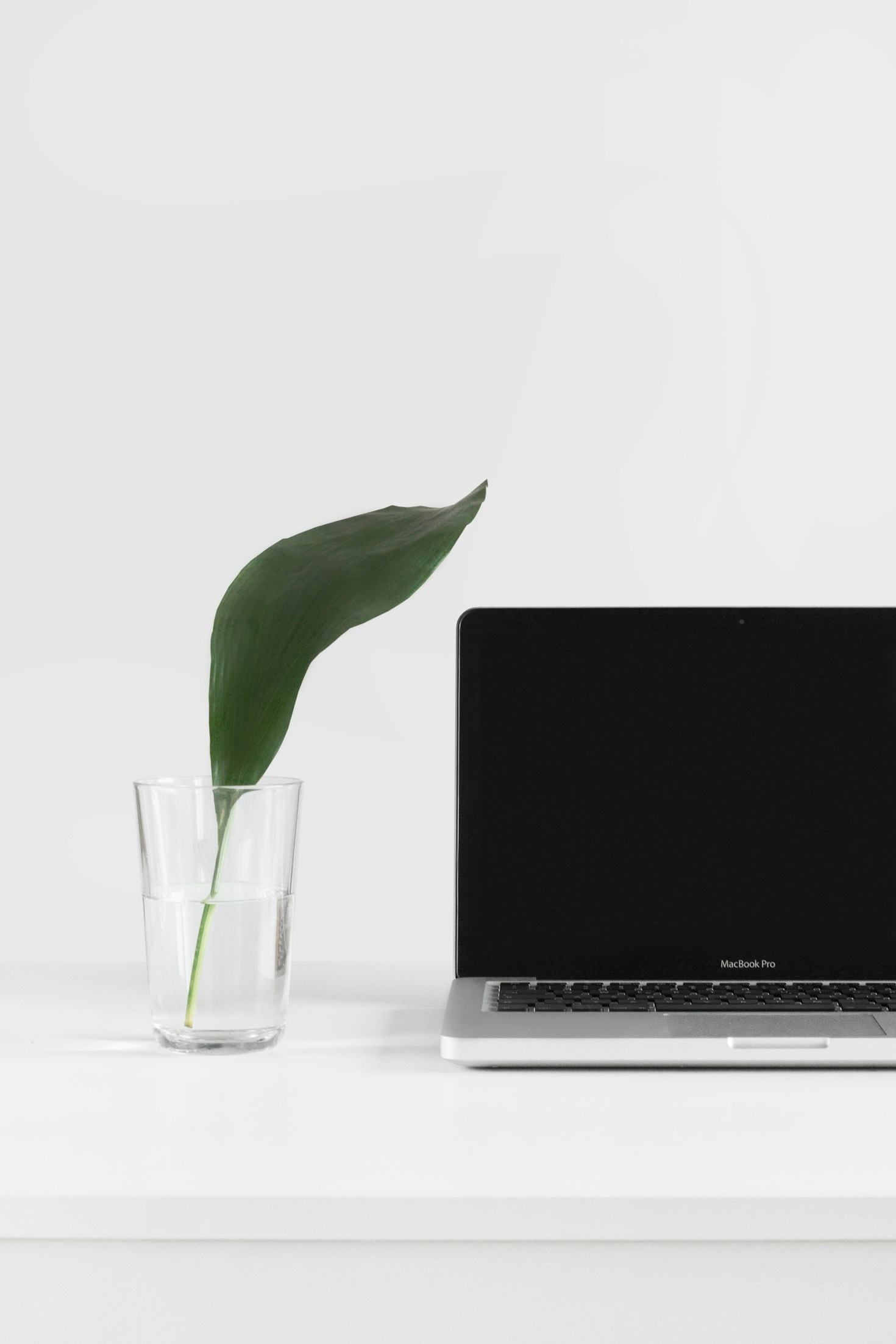 10 Inspiring Projects from a Creative Developer