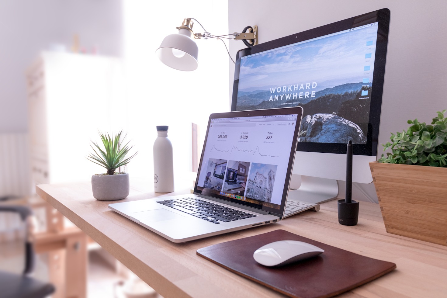 Behind the Scenes of Web Projects That Shine